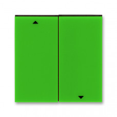 ABB Levit® Shutter switch cover 2 buttons (Green / Smoke Black)