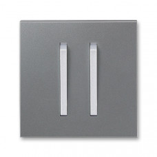 ABB Neo®  Switch button double (Steel / Titanium)
